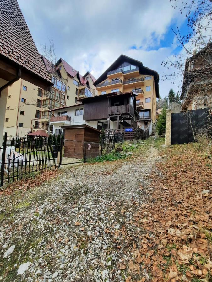 Studio Furnica Sinaia Zewnętrze zdjęcie